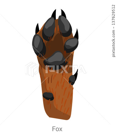 Cartoon vector illustration of a fox paw with pads, claws and fur texture isolated on a white background for wildlife tracking or zoology education. Cartoon vector illustration of a fox paw with pads, claws and fur texture isolated on a white background for wildlife tracking or zoology education. 137629512