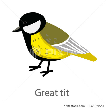 Flat vector illustration of a great tit in side view. Small colorful songbird isolated on a white background suitable for educational and design use. 137629551