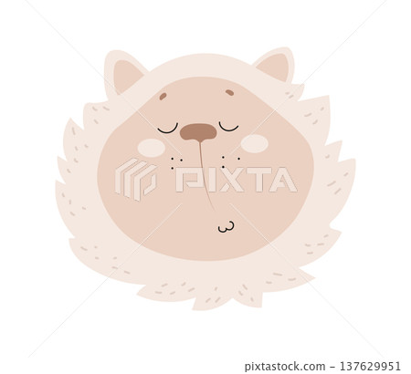 Flat vector illustration of a cute cat face with closed eyes. Cartoon pet character isolated on a white background. 137629951