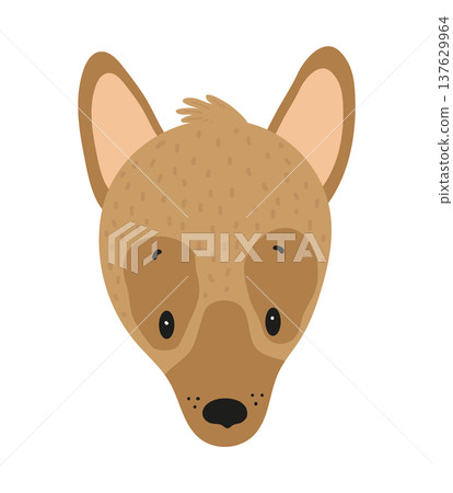 Flat vector illustration of a cute dingo dog face. Cartoon wild dog isolated on a white background. Flat vector illustration of a cute dingo dog face. Cartoon wild dog isolated on a white background. 137629964