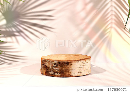 Empty birch podium for displaying cosmetics, set against an elegant, sunny, and colorful backdrop with shadows cast by tropical palm trees. The perfect template for your creative work, 137630071