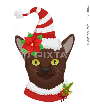 Burmese Cat with Santa Hat Burmese Cat with Santa Hat 137630622
