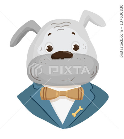 Dressed Bulldog Illustration Dressed Bulldog Illustration 137630830