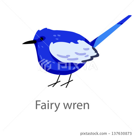 Flat vector illustration of a blue fairy wren in side view. Small bright blue songbird isolated on a white background suitable for educational and design use. 137630873