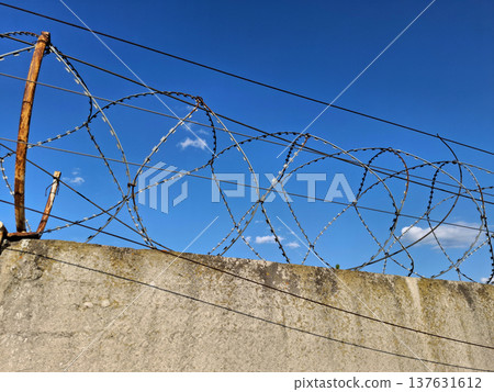 Barbed wire on the fence 137631612