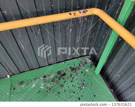 Unsanitary conditions. Spread of infection and disease. Bird excrements Unsanitary conditions. Spread of infection and disease. Bird excrements 137631621