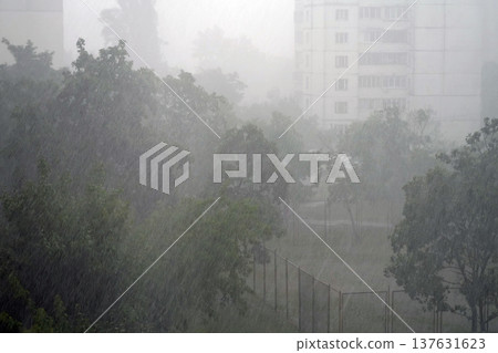 Heavy rain and wind in the city. Bad weather, storm Heavy rain and wind in the city. Bad weather, storm 137631623