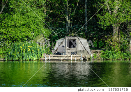 Fishing tent camp located directly at the edge of calm lake water surrounded by green vegetation and reeds. A quiet outdoor environment showing a peaceful lakeside fishing lifestyle scene. Fishing tent camp located directly at the edge of calm lake water surrounded by green vegetation and reeds. A quiet outdoor environment showing a peaceful lakeside fishing lifestyle scene. 137631716