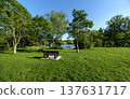 Wooden bench standing on a green park lawn surrounded by trees and vegetation. Calm natural water is visible in the background creating a peaceful outdoor recreation environment. 137631717