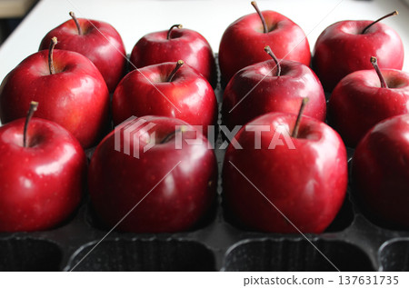 Rows Of Ripe Red Apples In Plastic Box For Fruits Transportation Rows Of Ripe Red Apples In Plastic Box For Fruits Transportation 137631735
