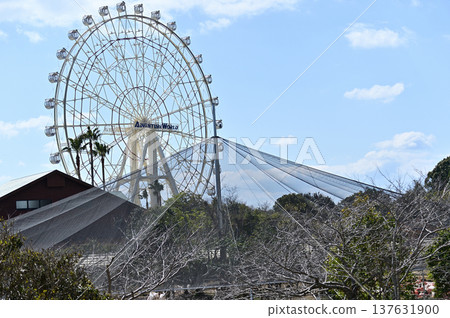 Ferris wheel that shines in the blue sky Ferris wheel that shines in the blue sky 137631900