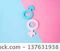 Two gender symbols symbolizing relationships. The division of responsibilities between the genders. Work, household support, and child rearing. Equality discussion in modern society 137631938