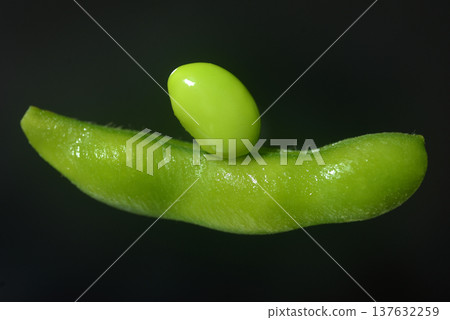 毛豆 137632259