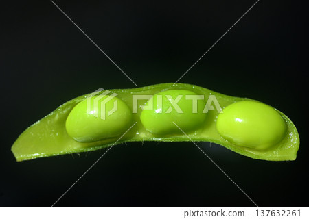 毛豆 137632261