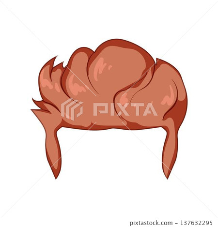 Male wig vector illustration for hair replacement 137632295