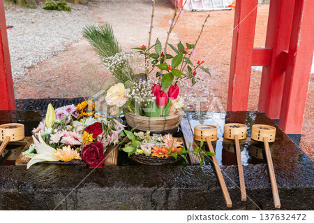 石浦神社（金澤）的花水盆和五彩繽紛的花朵 137632472