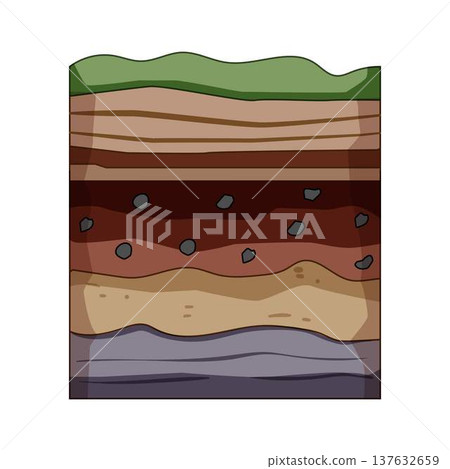Soil layers profile illustrating various organic and mineral horizons Soil layers profile illustrating various organic and mineral horizons 137632659