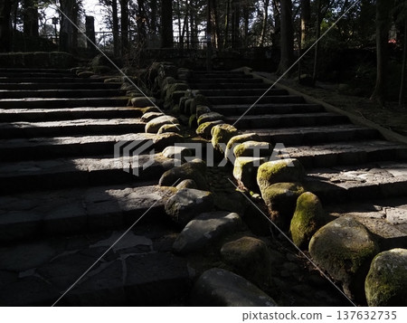 Mossy stone stairs 137632735