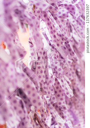 A large number of fortune slips lined up at Hirosaka Inari Shrine (Ishiura Shrine, Kanazawa) 137632897