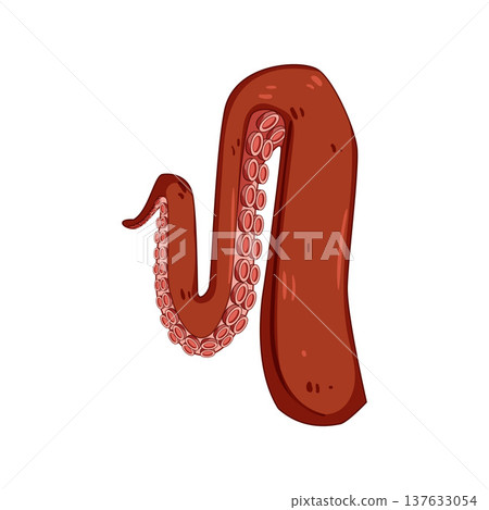 Octopus tentacle reaching and showing suckers illustration 137633054