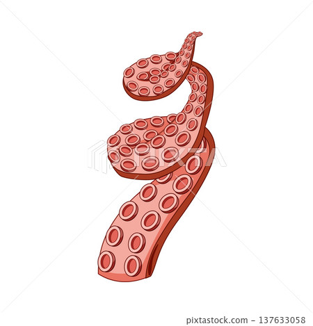 Octopus tentacle with suckers, marine life cartoon vector illustration Octopus tentacle with suckers, marine life cartoon vector illustration 137633058