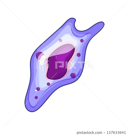Immune system cell recognizing and fighting pathogen illustration Immune system cell recognizing and fighting pathogen illustration 137633641