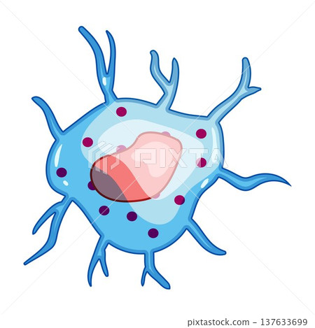 Immune system cell recognizing and fighting pathogens Immune system cell recognizing and fighting pathogens 137633699