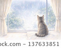 Rainy season and cats 137633851