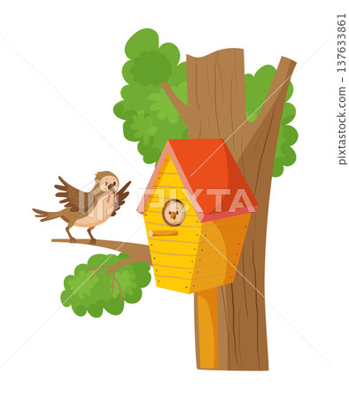 Birds in Birdhouse on Tree 137633861