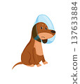 Cartoon Dog with Medical Collar 137633884