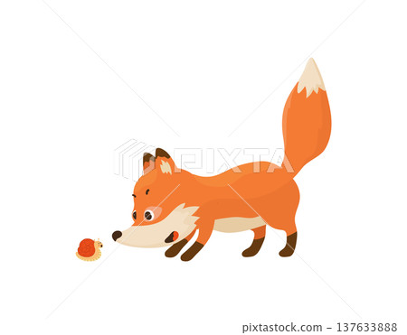 Curious Cartoon Fox Curious Cartoon Fox 137633888
