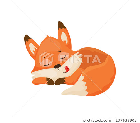 Sleeping Cartoon Fox Sleeping Cartoon Fox 137633902