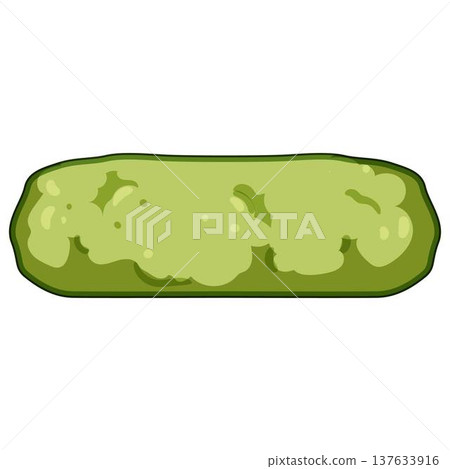 Green garden hedge element creating natural border 137633916