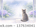 Hydrangea and cat 137634041