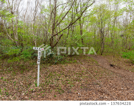 前往兜明神山的健行路線 前往兜明神山的健行路線 137634228