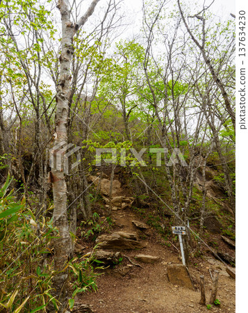 Rugged mountain trail Rugged mountain trail 137634230