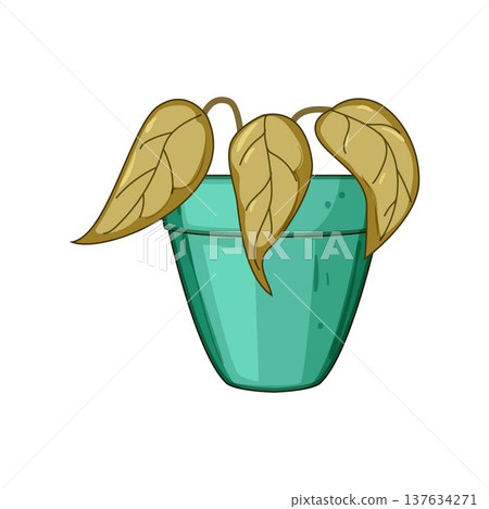 Dead potted houseplant with wilting brown leaves dying Dead potted houseplant with wilting brown leaves dying 137634271