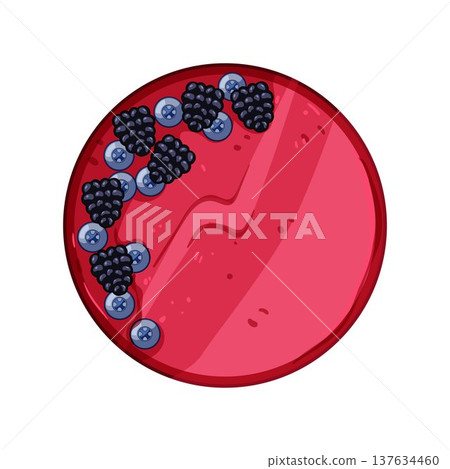 Berry breakfast smoothie bowl top view 137634460