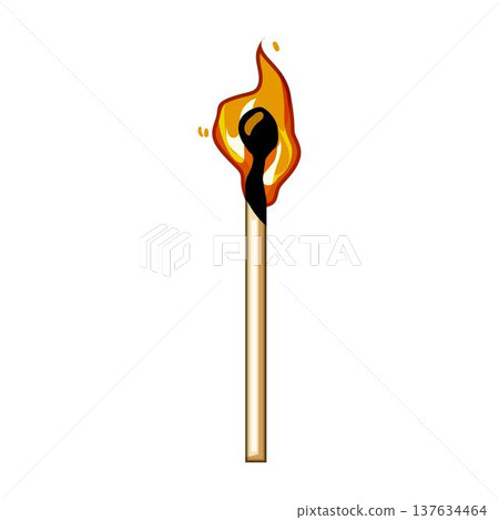 Burning wooden matchstick with bright flame on white background 137634464