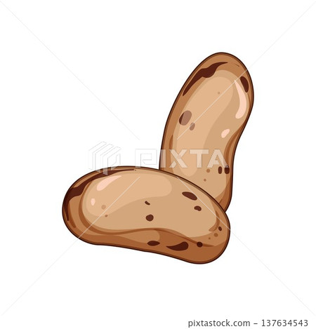 Pinto beans illustration representing healthy organic leguminous food 137634543