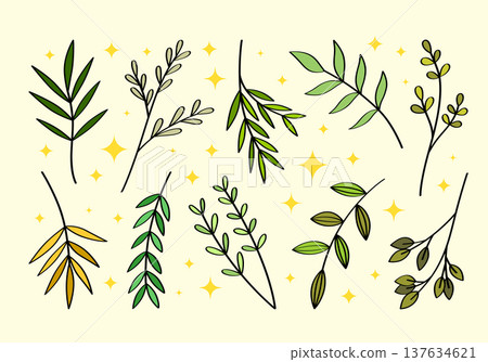 Set of hand drawn branches and leaves of bushes and trees in a cartoon style. Aesthetic plant icons. Ideal for decorating and framing flyers, greeting cards, posters, invitations, social media, ect. 137634621