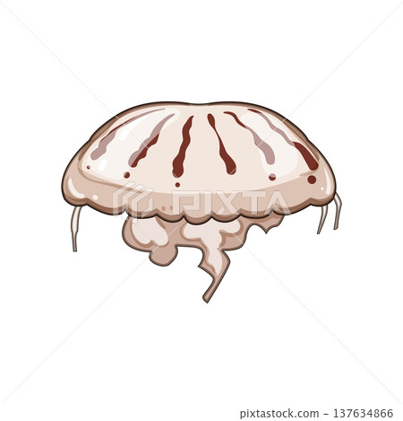 plankton jellyfish cartoon vector illustration 137634866