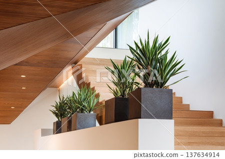 Inviting Staircase Adorned with Lush Green Planters on Each Step, Creating a Serene Ambiance Inviting Staircase Adorned with Lush Green Planters on Each Step, Creating a Serene Ambiance 137634914