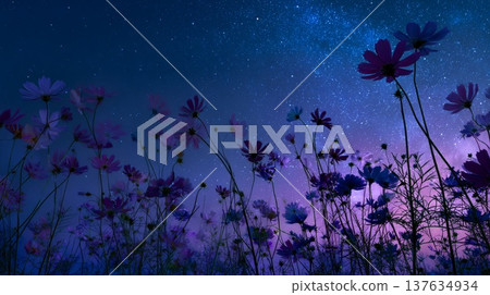 A Serene Field of Colorful Flowers Under a Starry Night Sky Filled with Twinkling Stars A Serene Field of Colorful Flowers Under a Starry Night Sky Filled with Twinkling Stars 137634934