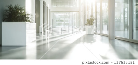 Bright and Inviting Hallway Decorated with a Lush Green Plant in a Stylish White Planter 137635181