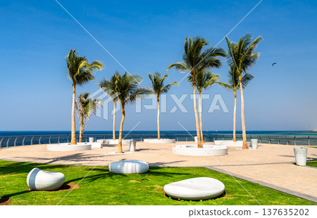 Scenic view of palm trees and modern stone benches along the Roshn Waterfront walkway by the Red Sea in Jeddah, Saudi Arabia. Scenic view of palm trees and modern stone benches along the Roshn Waterfront walkway by the Red Sea in Jeddah, Saudi Arabia. 137635202