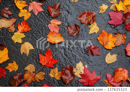 A Vibrant Collection of Autumn Leaves Resting on a Reflective Wet Surface After Recent Rainfall 137635323