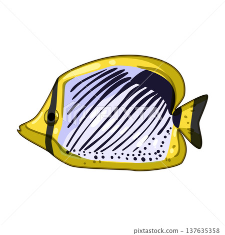 pleco exotic fish cartoon vector illustration 137635358