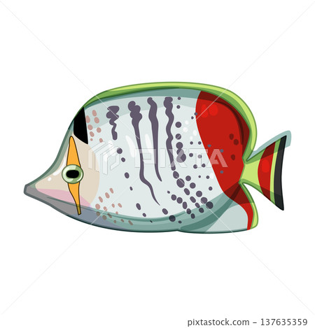 arowana exotic fish cartoon vector illustration 137635359