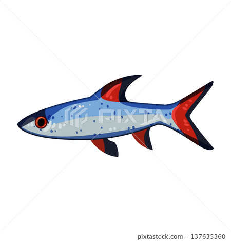 cichlid exotic fish cartoon vector illustration 137635360